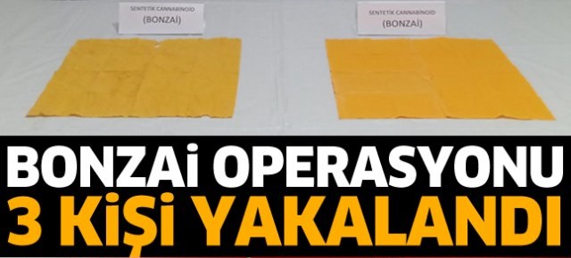 ISPARTA'DA BONZAİ OPERASYONU